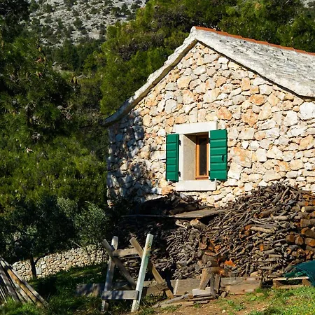 Villa Avola *